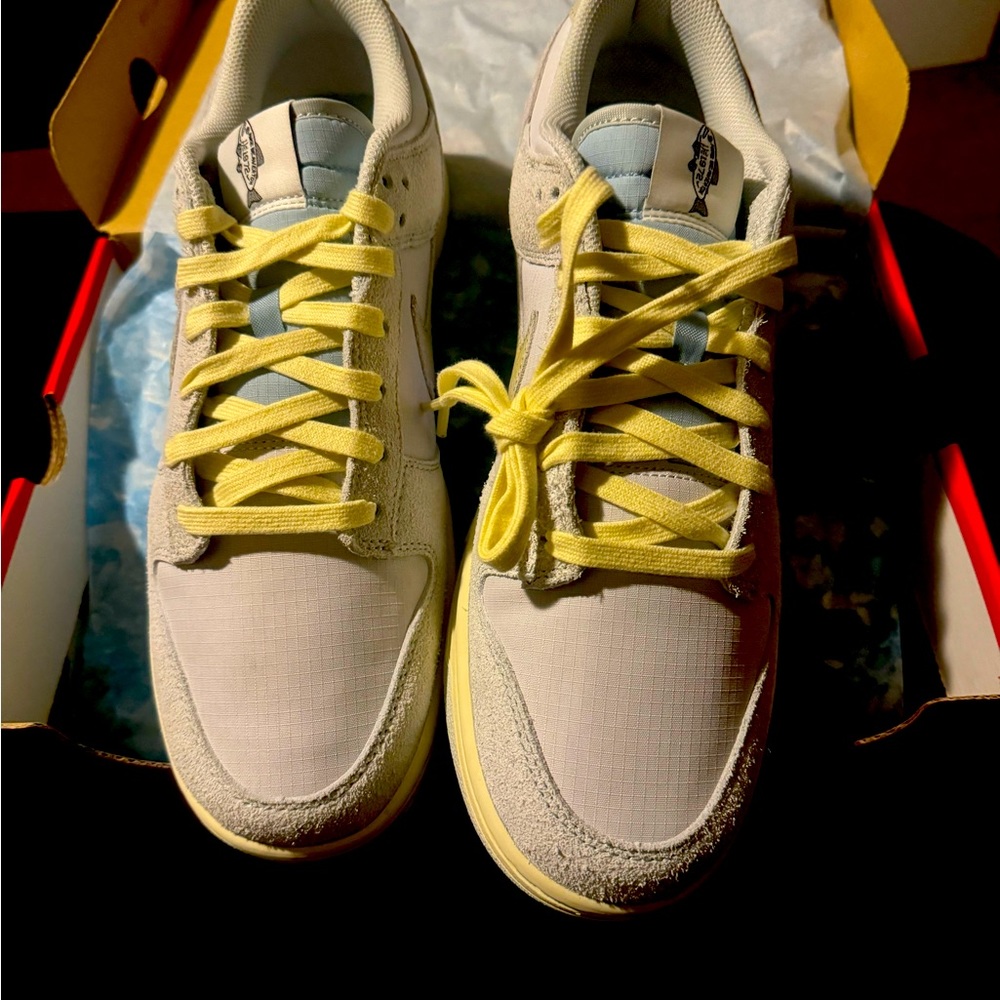 Nike Dunk Low Retro Se